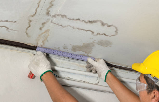 Reliable Water Damage contractor in Alamance, NC by Water Damage Irwin
